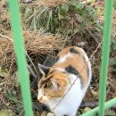 망미이모국수 이미지