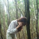 아프리카게스트하우스 이미지