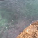 포세이돈민박 이미지