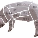 돼지카나