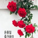 꽃향기 이미지