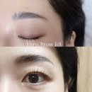 샵하루