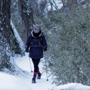 곰배령산장 이미지