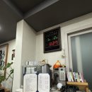 안경쓴고등어 | [제주] 제주공항 근처 맛집 | 비리지 않는 고등어 횟집 "안경고등어" 내돈내산 솔직후기