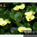 사랑해;꽃 이미지