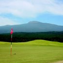 스프링데일 골프&리조트 이미지