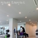 트레인하드 이미지