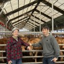 부부축산 이미지