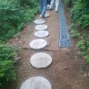 그림책과 함께 떠나는 마음여행 | 전주 학산숲속시집도서관 - 전주도서관여행 책풍경코스 후기 맏내제 차경좋은도서관