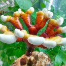 진기농장 이미지