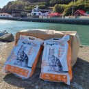 두나펫 코리아 이미지