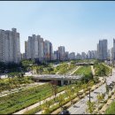 n-kids태권도스쿨 이미지