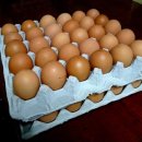 수정식당 이미지