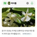 한옥마을 이미지