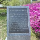 달전시목지 티스토리