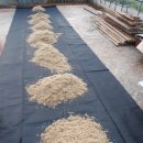 정례농장 이미지