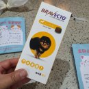 토마스동물병원 이미지