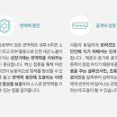 프롬퍼피 이미지