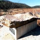 영천 보성리 암각화 이미지