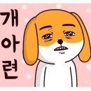 대관령동태찌개와낙지볶음 이미지