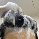 뷰티미용실 이미지