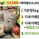 진토배기