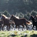 이제원 목장 세계일보