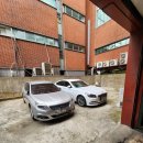 메디팜 푸른약국 이미지