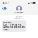 벚꽃초밥집
