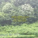 호선농장 이미지