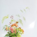 영남농원 이미지