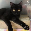 박창언 동물병원 이미지