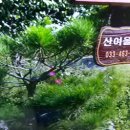 산여울민박 - 영월군 백년계곡길 142 | 산여울민박
