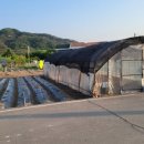 대토공인중개사사무소 이미지