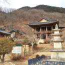 풍기인삼농협
