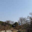 사랑의뜰안전주 | [전북 김제] 한적한 김제카페 ‘뜰안에서’