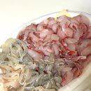 부산 광안리 회포장 맛집 고성상회 민락회타운 맛집