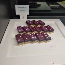 페티포티 | 더플라자 세븐스퀘어 디너후기, 서울호텔뷔페 메뉴사진 (스압)