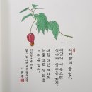 시의향기 - 꽃그늘/ 시인 나태주 이미지