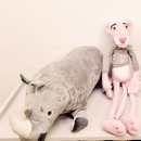 여수항장외과의원 이미지