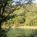 진우네농장 이미지