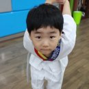 jin.s 태권도장 네이버블로그