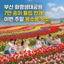 낙동강관리본부 화명생태공원 10 | 주말 부산 나들이, 봄소풍 '화명생태공원 튤립'을 보러 가야 하는 이유