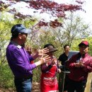 부여(임천)-12 이미지