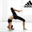 요가(기초오후) 이미지