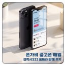 가비가 | 폰가비 중고폰 매입 갤럭시S22울트라 판매 후기