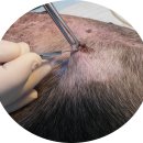 뉴월드 동물병원 이미지