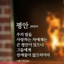 김철중공인중개사사무소 이미지