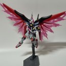 자연으로Ⅱ | 최종 결전 이미지 컬러] 프리미엄 반다이 한정판 조립 리뷰 | 완성 후기 | 시드 프리덤 최종전 재현 키트