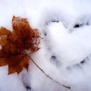 산골이야기 이미지
